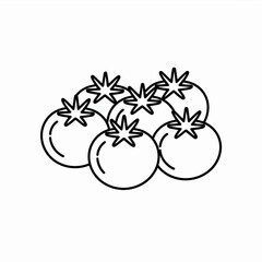 vector illustration of a tomato