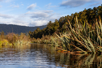 Westland Tai Poutini National Park, South Island, New Zealand