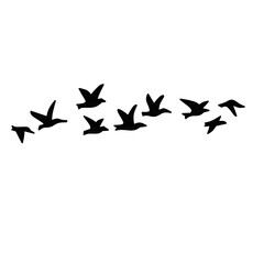 Flying birds flock sihlouette on white background