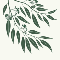 Stylized illustration of dark green eucalyptus branches with leaves and seed pods on a cream background © RUJINA