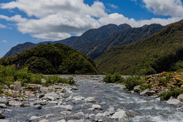 Westland Tai Poutini National Park, South Island, New Zealand