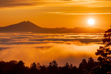 Obraz premium 朝日に染まる雲海