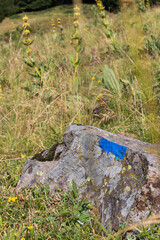 Blue markup of a hiking itinerary on a rock in the countryside. Itineraries in France, repere excursion marking.