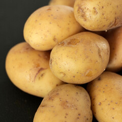 variété de patates