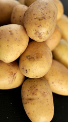 variété de pommes de terre