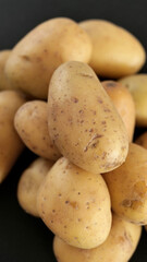 gros plan sur les patates