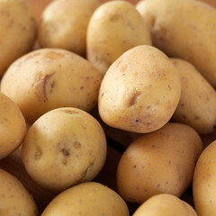 manger des pommes de terre