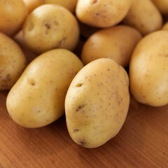 variété de pommes de terre