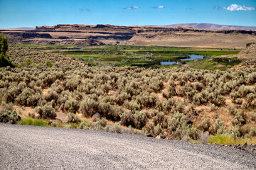 Wetlands, Columbia National Wildlife Refuge, Washington