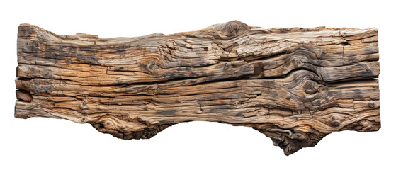 A close-up view of an intricately textured piece of driftwood, showcasing its natural patterns and colors, set against a plain background, ideal for nature-themed projects
