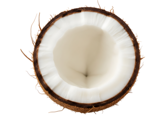A fresh half coconut with white flesh isolated on transparent background