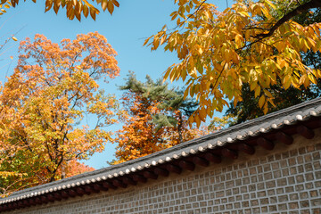 Seosulla-gil Stonewall Walkway Road with autumn forest in Seoul, Korea