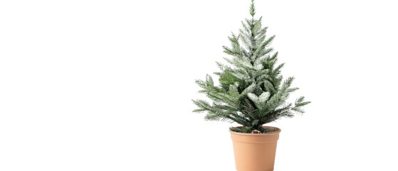 A vibrant green potted artificial Christmas tree stands alone, showcasing its lush branches, with a clean background ideal for holiday decoration themes or festive imagery