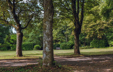 Bäume im Park und Wald Friedhof im August, verschiedenes Grün