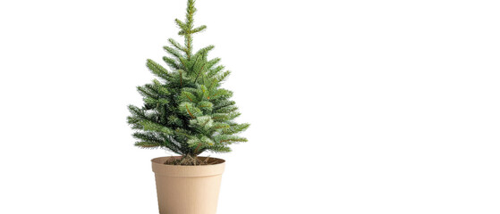 A vibrant, artificial Christmas tree in a simple pot, set against a plain background, symbolizing holiday cheer and decoration ideas for festive gatherings