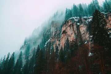 Misty mountainside with dense forest