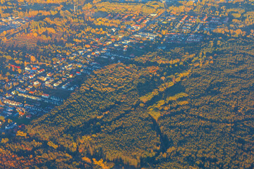 An aerial photo of a suburban development adjacent to a pine forest. The late afternoon sun casts long shadows and highlights the autumn colors