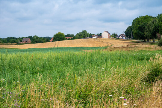 Colorful hills with farmland at the Wallon countryside in  Bois Seigneur Isaac, Braine L'Alleud, Belgium