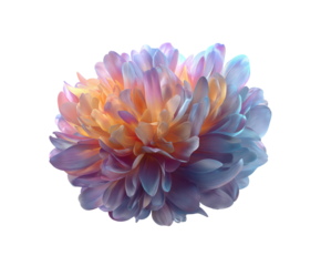 Colorful floral arrangement for celebration or decoration purpose