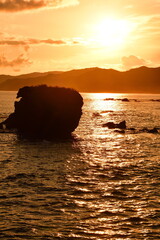 能生海浜公園（新潟県）