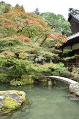 Naklejka premium 初秋の青蓮院庭園 相阿弥の庭 小御所と龍心池(京都市東山区)