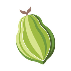 Green Papaya Fruit Vector Illustration on White Background