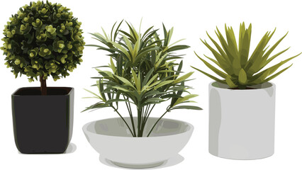 Modern indoor houseplants in minimalist white pots, realistic plant product photography, home decor greenery on white background for design use