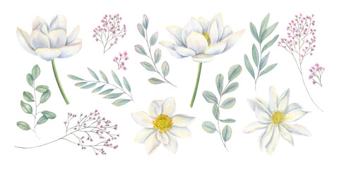 Blooming white lotus flowers, gypsophila and eucalyptus branch watercolor isolated illustration set. Water lilies, baby breath plant, leaves clip art. For wedding stationery, decor, bouquet design.