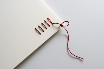 Red Thread Binding Blank Notebook