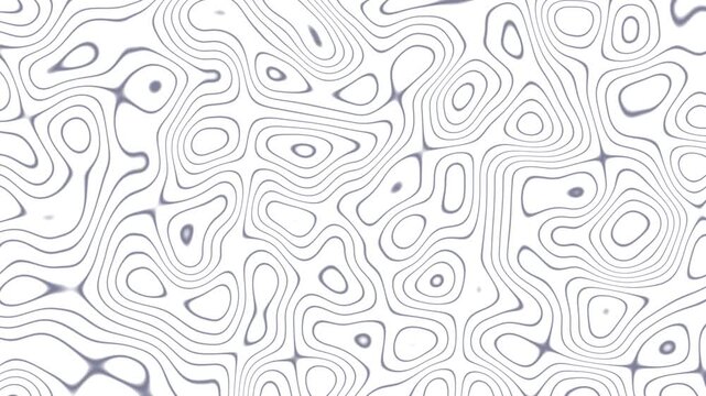 abstract animation of topographic map contour lines on a clean white background. Ideal for presentations, motion graphics and design projects. Abstract background animation.