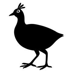 bird animal silhouette, White and black bird with colorful feathers standing on grass in nature vector illustration