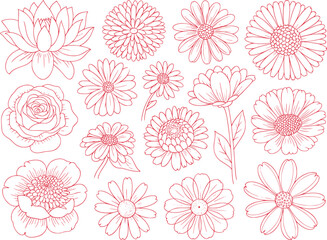 Delicate Red Outlines Showcase a Variety of Blossom Flowers, each Displaying its Unique Structure and Enhancing the Artistic Floral Arrangement