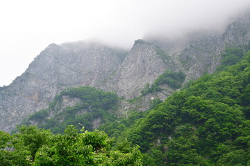 小滝川ヒスイ峡（新潟県）