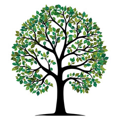 Obraz premium Lush green treetop view transparent background