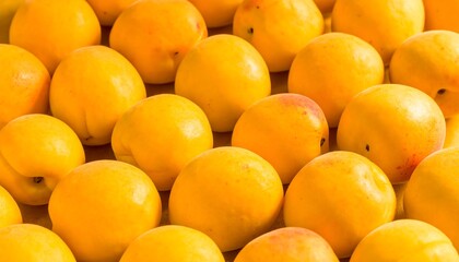 Close-up view of many ripe apricots