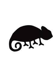 vector illustration of a silhouette of a turtle