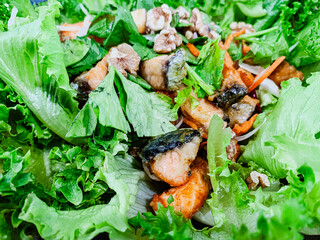 Fresh salmon salad with mixed greens and a light dressing. 