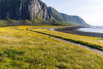 Norseek&uuml;ste am Abend mit Blumen