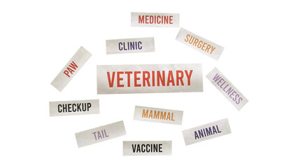 Veterinary Word Collage PNG – Paper Cutout Style for Animal Care and Pet Health