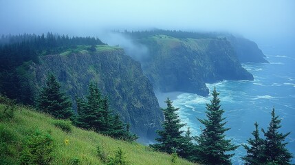 Misty coastal cliffs with evergreen trees and waves.