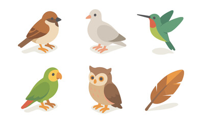 Fototapeta premium Collection of cute birds and feather in flat design