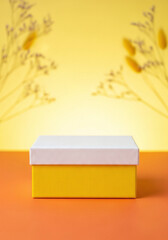Yellow Gift Box White Lid Product Display Vibrant Studio Shot