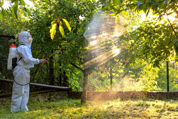 A gardener in a protective suit, mask and glasses uses a professional sprayer to treat the garden...