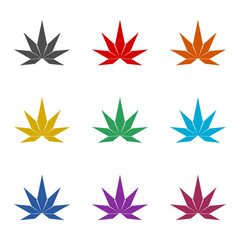 Marijuana icon isolated on white background. Set icons colorful