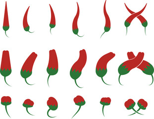 Chili pepper icon set, capsicum collection hot spice vector group, jalapeno silhouette and outline, cayenne symbol bundle, vegetable pictogram pack in flat style for seasoning design isolated