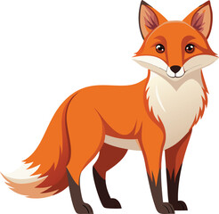 Fototapeta premium A young cartoon red fox cub with fur is isolated on a white background in a vector illustration