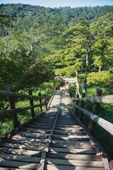 大台ヶ原の風景