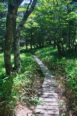 大台ヶ原の風景