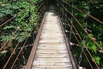 Obraz premium 大台ヶ原の風景