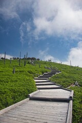 大台ヶ原の風景
